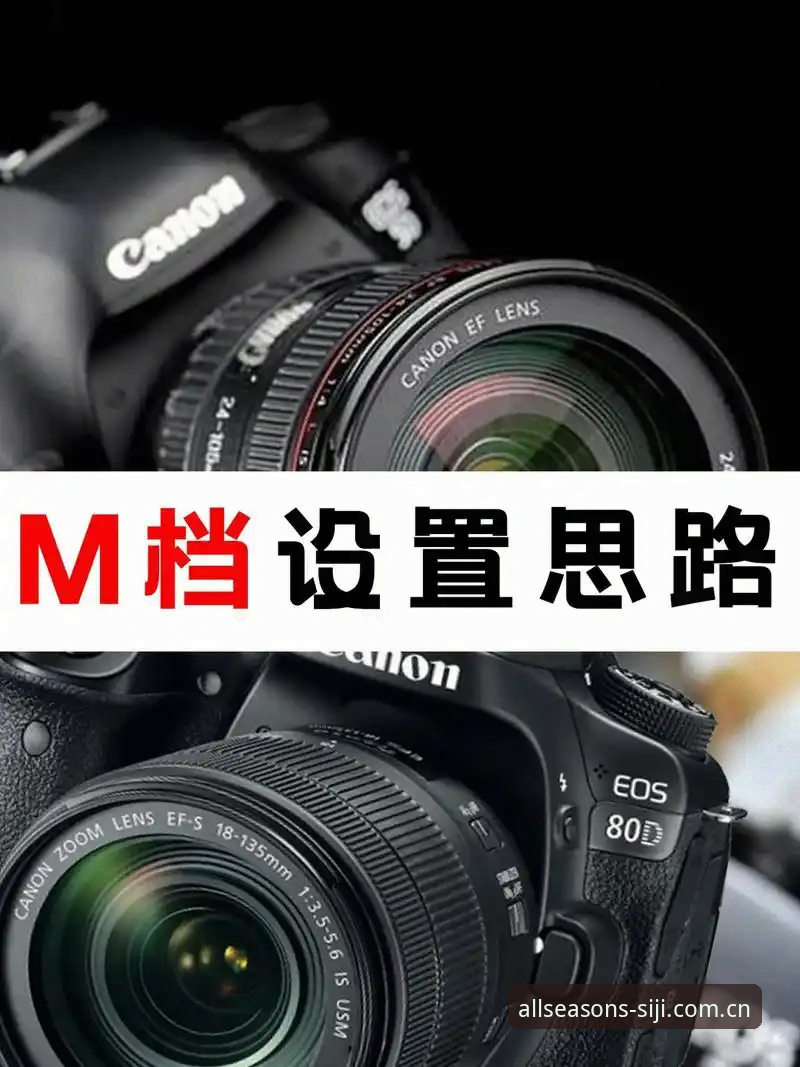 揭秘四季网站安装步骤安卓版：新手必看的完整操作指南