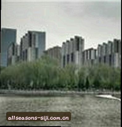 小璐